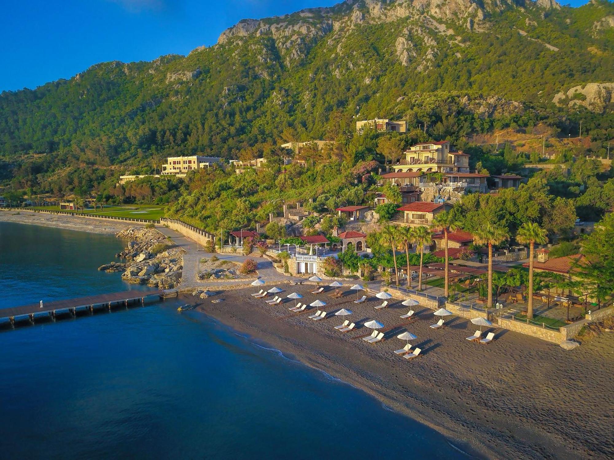 Kaktus, Florya Marmaris